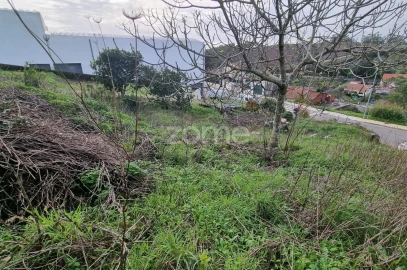 Terreno para Venda em Almargem do Bispo, Pêro Pinheiro e Montelavar