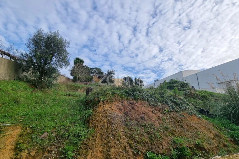 Terreno para Venda em Almargem do Bispo, Pêro Pinheiro e Montelavar Foto 6