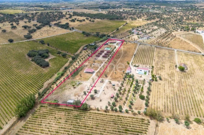 Quinta T5 para Venda em Redondo