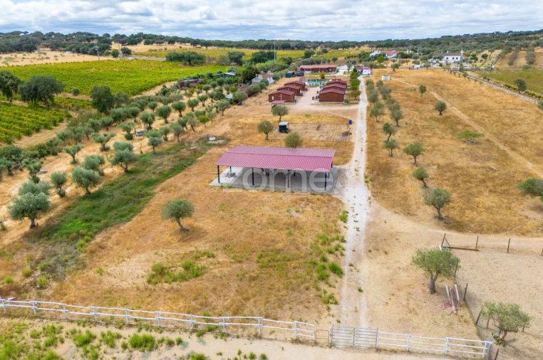 Quinta T5 para Venda em Redondo Foto 31