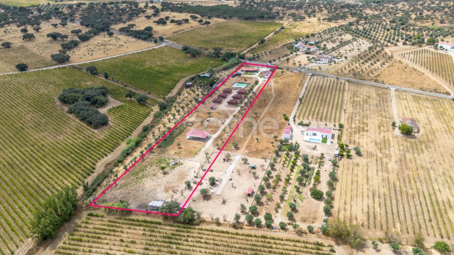 Quinta T5 para Venda em Redondo