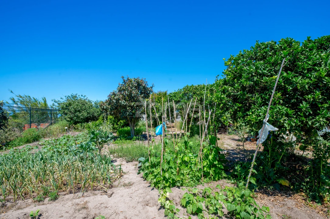 Terreno para Venda em Longueira/Almograve Foto 29