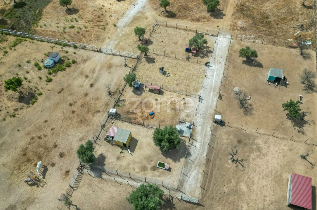 Terreno para Venda em Redondo Foto 4