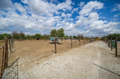 Terreno para Venda em Redondo