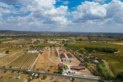 Terreno para Venda em Redondo
