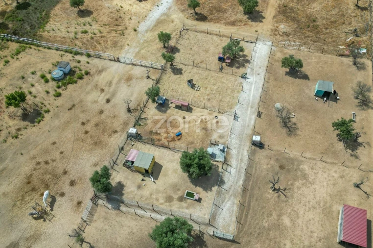 Terreno para Venda em Redondo Foto 4