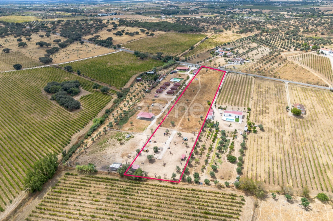 Terreno para Venda em Redondo Foto 1