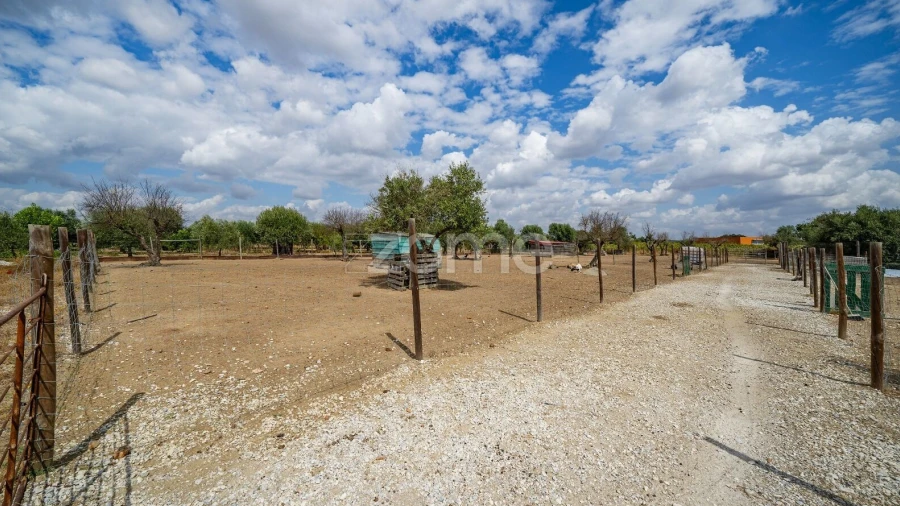 Terreno para Venda em Redondo
