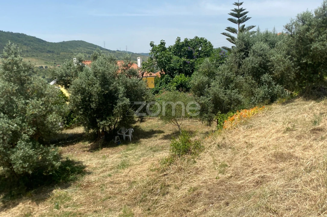 Terreno para Venda em Alhandra, São João dos Montes e Calhandriz Foto 5