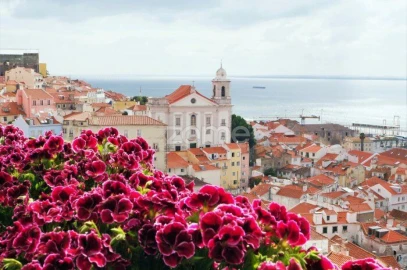 Apartamento T1 para Venda em Santa Maria Maior