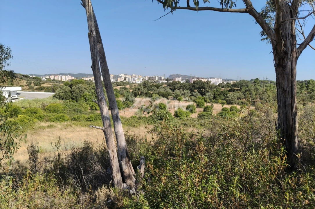Terreno para Venda em Setubal (São Sebastião) Foto 4