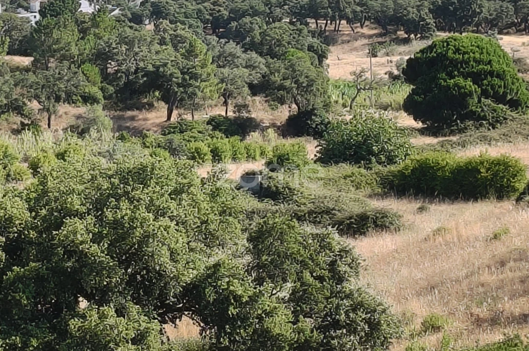 Terreno para Venda em Setubal (São Sebastião) Foto 3