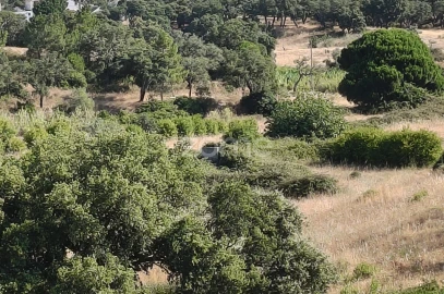 Terreno para Venda em Setubal (São Sebastião)