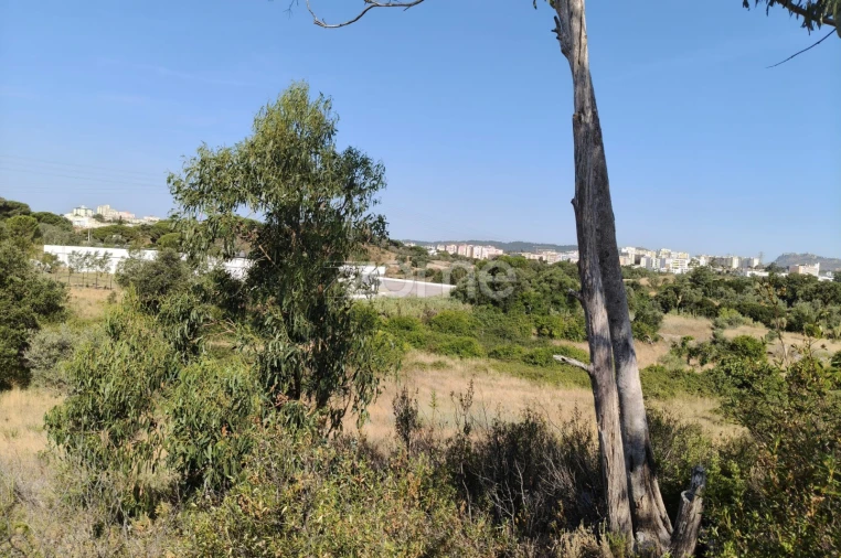Terreno para Venda em Setubal (São Sebastião) Foto 5