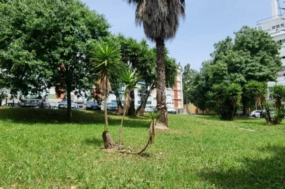 Apartamento T2 para Venda em Benfica