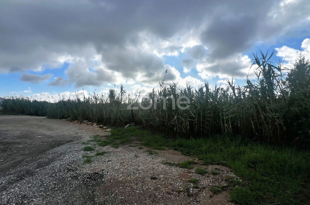 Terreno para Venda em Alcabideche Foto 5