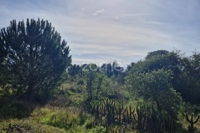 Terreno para Venda em Pegões