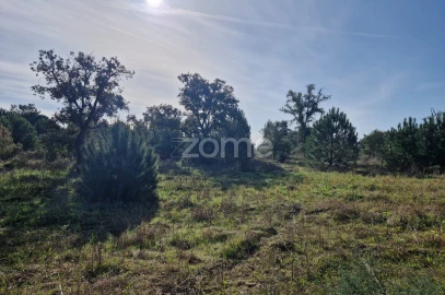 Terreno para Venda em Pegões