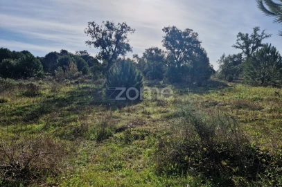 Terreno para Venda em Pegões