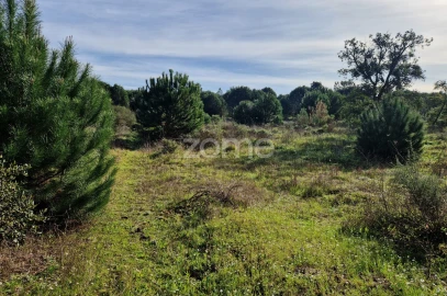 Terreno para Venda em Pegões