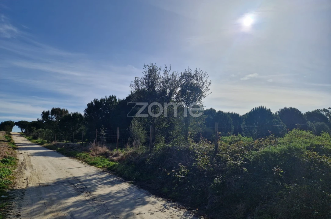 Terreno para Venda em Pegões Foto 18