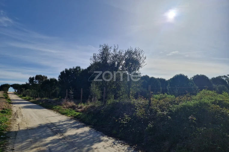 Terreno para Venda em Pegões Foto 18