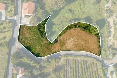 Terreno para Venda em Dornelas