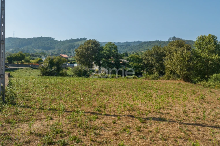 Terreno para Venda em Dornelas Foto 7