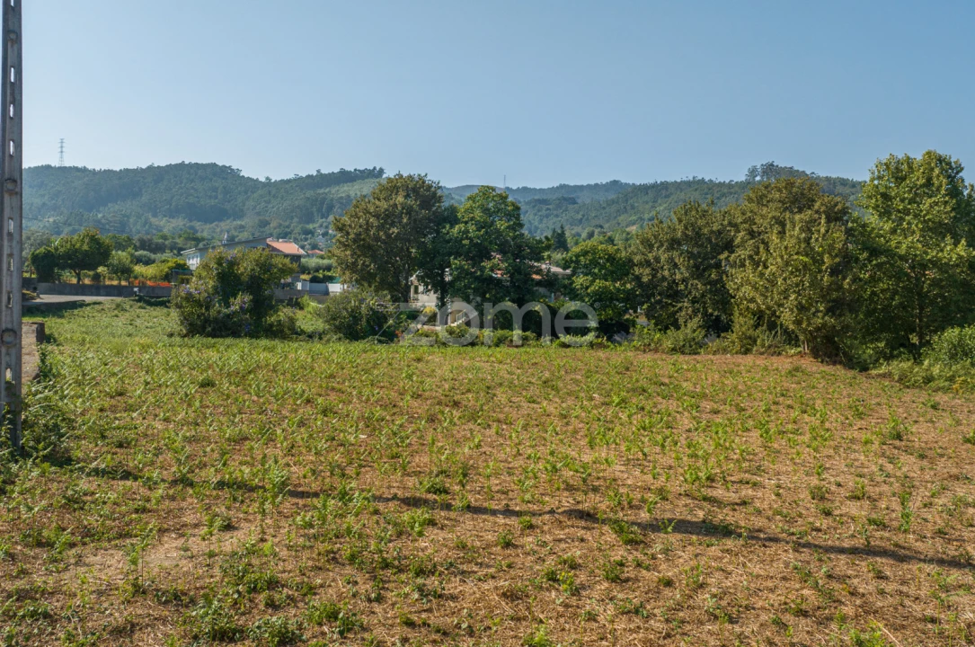 Terreno para Venda em Dornelas Foto 7