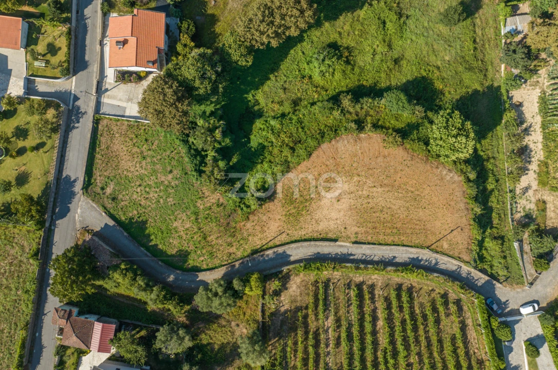 Terreno para Venda em Dornelas Foto 6