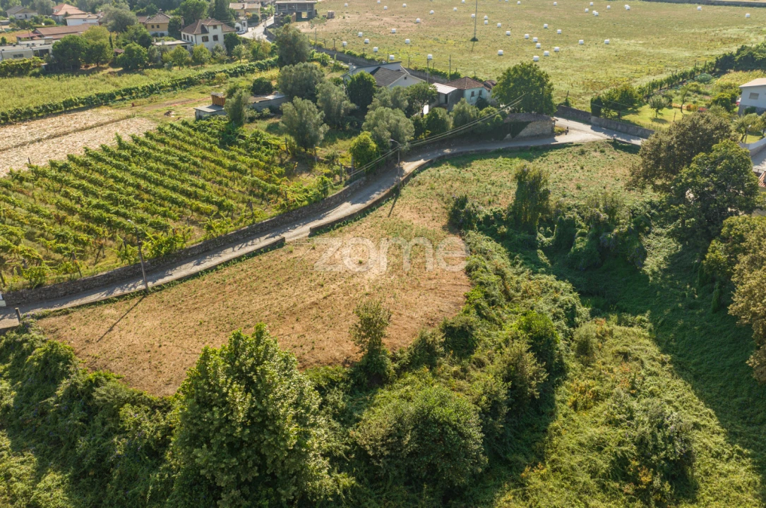 Terreno para Venda em Dornelas Foto 10