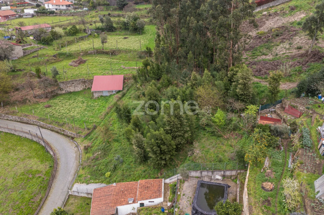 Terreno para Venda em Esporões Foto 8