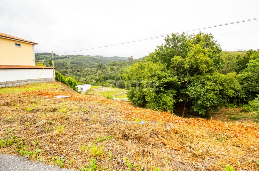 Terreno para Venda em Tabuaças Foto 5