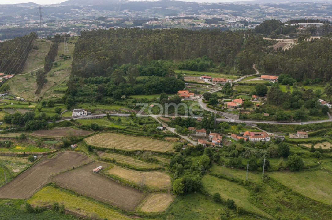 Terreno para Venda em Duas Igrejas Foto 3