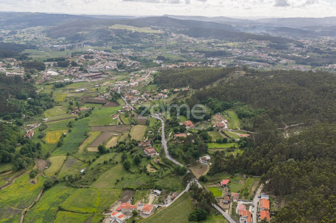 Terreno para Venda em Duas Igrejas Foto 10