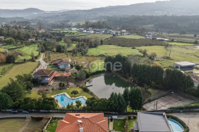 Quinta T6 para Venda em Ferreiros, Prozelo e Besteiros