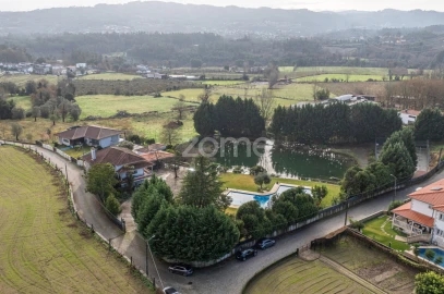 Quinta T6 para Venda em Ferreiros, Prozelo e Besteiros