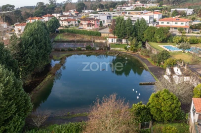 Quinta T6 para Venda em Ferreiros, Prozelo e Besteiros
