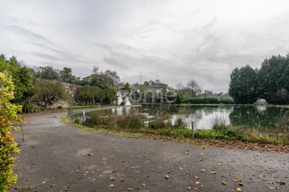 Quinta T6 para Venda em Ferreiros, Prozelo e Besteiros