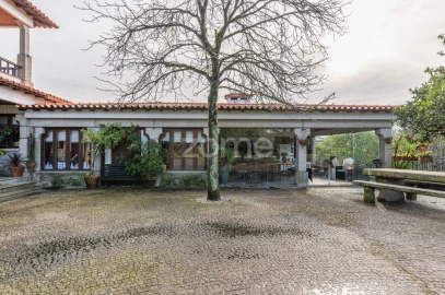 Quinta T6 para Venda em Ferreiros, Prozelo e Besteiros