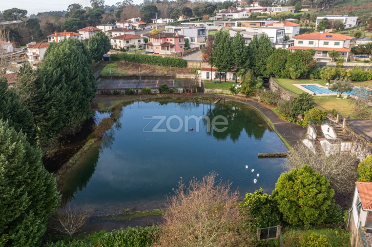 Quinta T6 para Venda em Ferreiros, Prozelo e Besteiros Foto 69