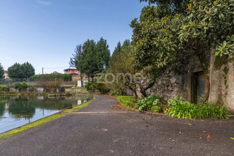 Quinta T6 para Venda em Ferreiros, Prozelo e Besteiros Foto 67