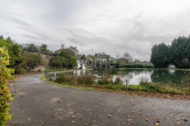 Quinta T6 para Venda em Ferreiros, Prozelo e Besteiros Foto 68