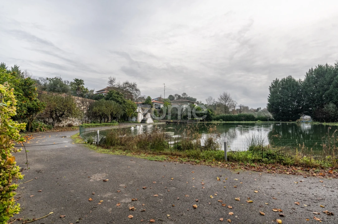 Quinta T6 para Venda em Ferreiros, Prozelo e Besteiros Foto 68