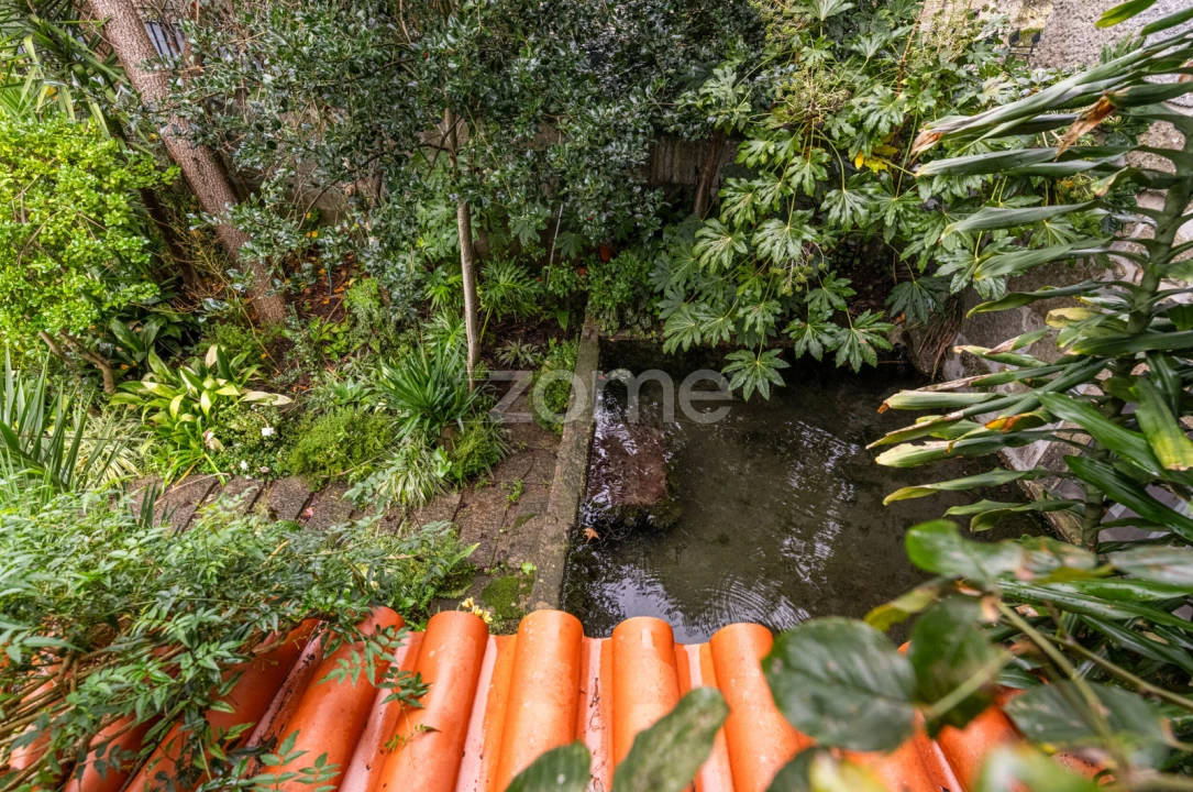 Quinta T6 para Venda em Ferreiros, Prozelo e Besteiros Foto 46