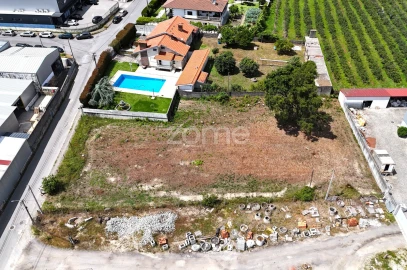 Terreno para Venda em Ferreiros, Prozelo e Besteiros