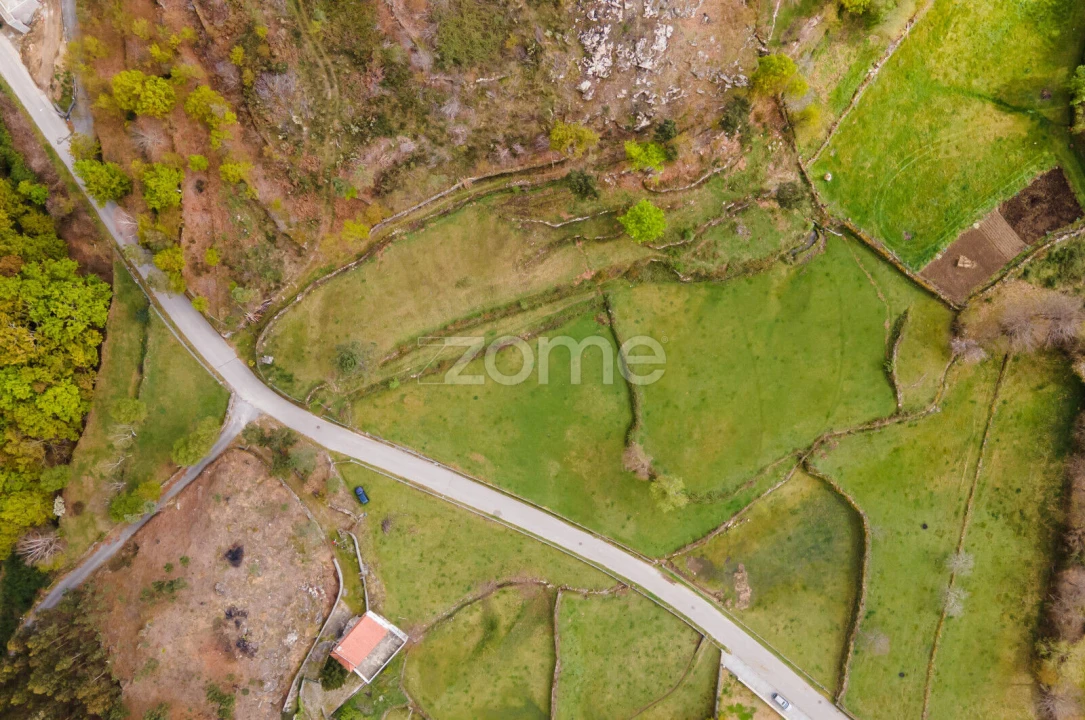 Terreno para Venda em Ruivães e Campos Foto 2