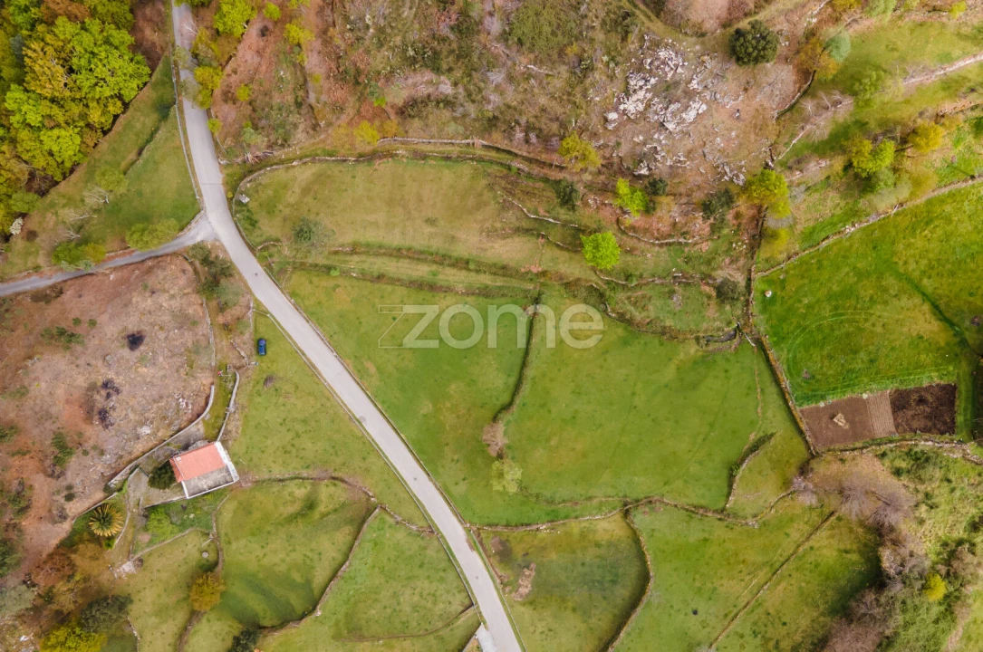 Terreno para Venda em Ruivães e Campos Foto 3