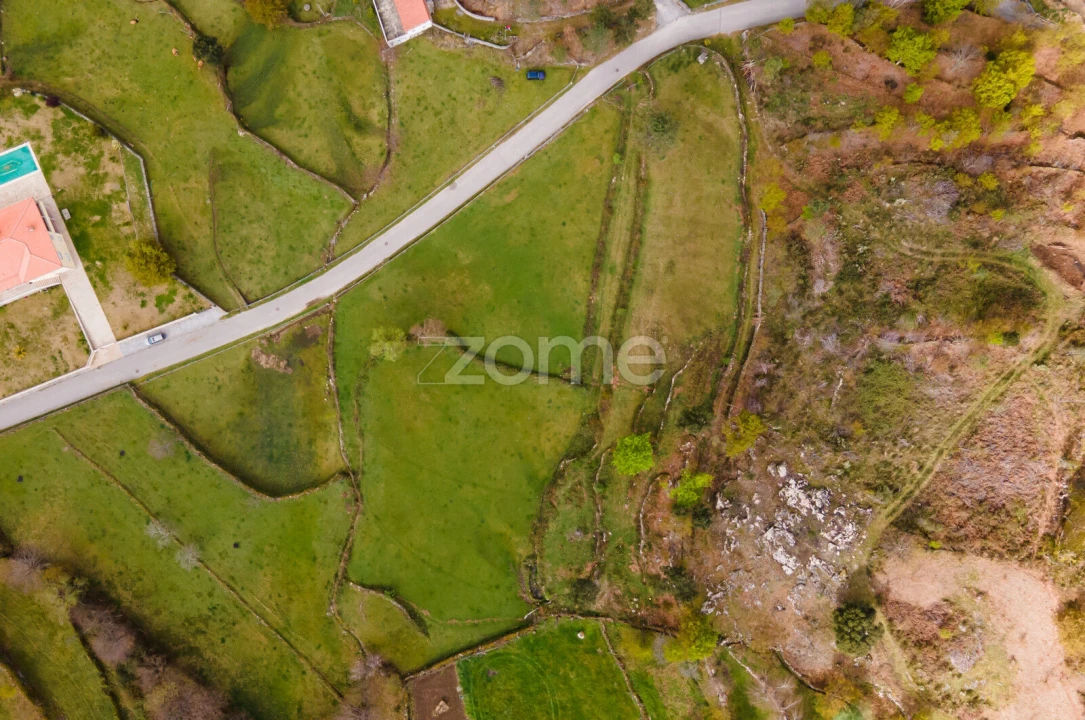 Terreno para Venda em Ruivães e Campos Foto 4