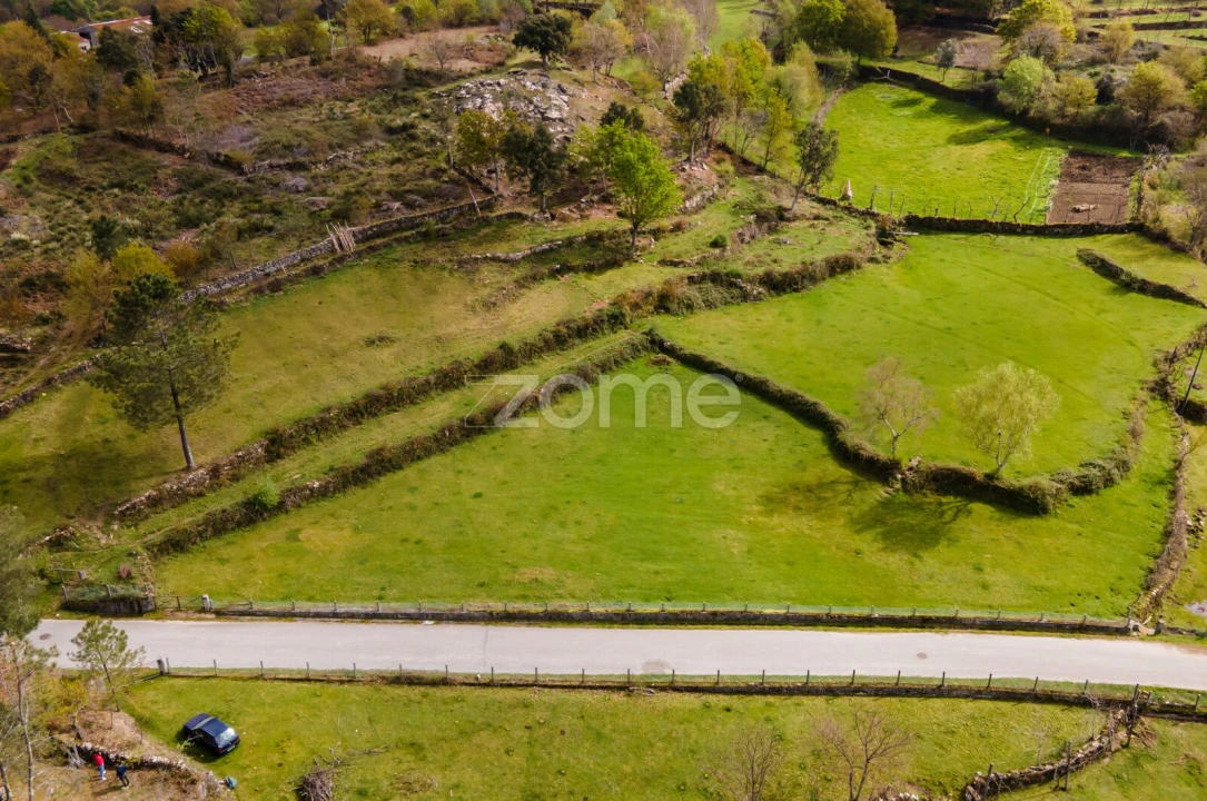 Terreno para Venda em Ruivães e Campos Foto 5